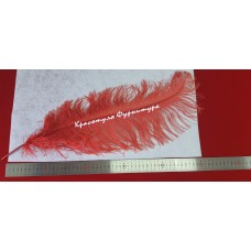 Перо 50 см червоний
