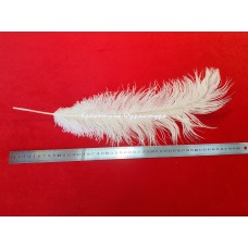 Перо 50 см білий